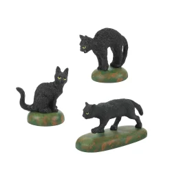 A Clowder Of Black Cats