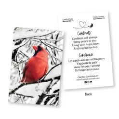 Cardinal It Was You Wall Art