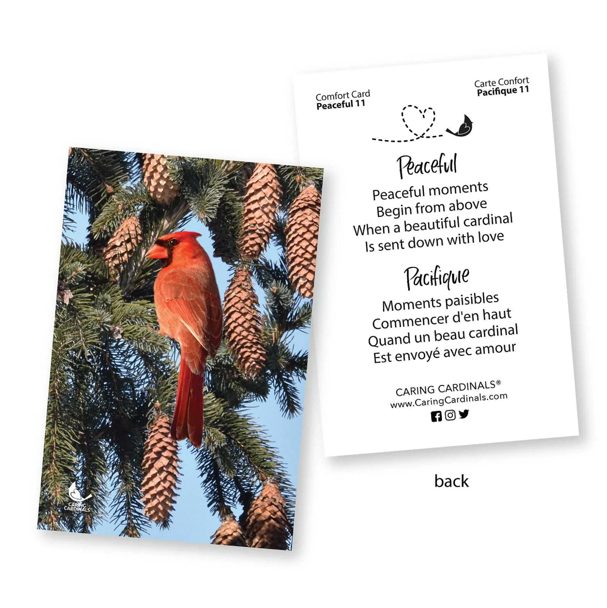 Cardinal Sculpted Believe Mug