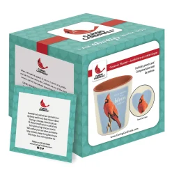Caring Cardinals Bloom Planter