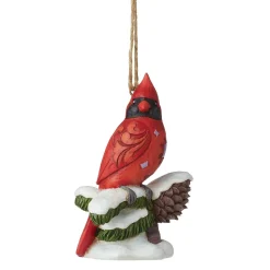 Caring Cardinals Winter Bless