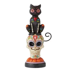Day Of Dead Black Cat On Skull
