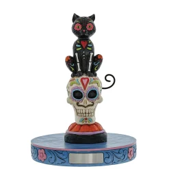 Day Of Dead Black Cat On Skull