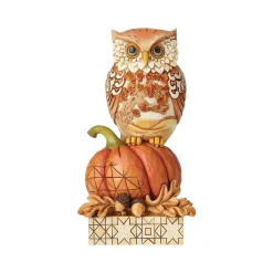 Harvest Owl On Pumpkin