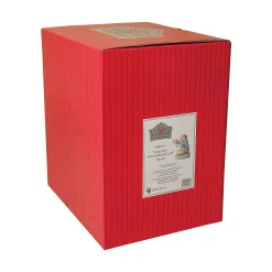 Mrs. Jumbo And Dumbo