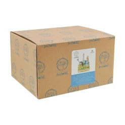 Peter Rabbit With Watering Can