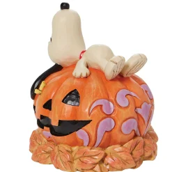Snoopy Laying Ontop Of Carved