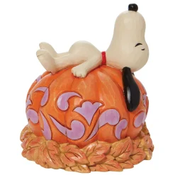 Snoopy Laying Ontop Of Carved