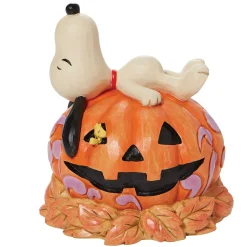 Snoopy Laying Ontop Of Carved