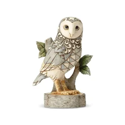 White Woodland Owl On Branch