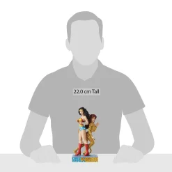 Wonder Woman And Cheetah