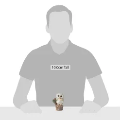 Woodland Owl On Tree Stump